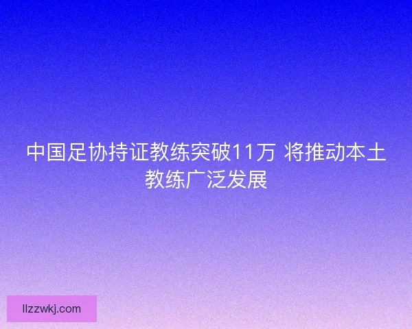 中国足协持证教练突破11万 将推动本土教练广泛发展